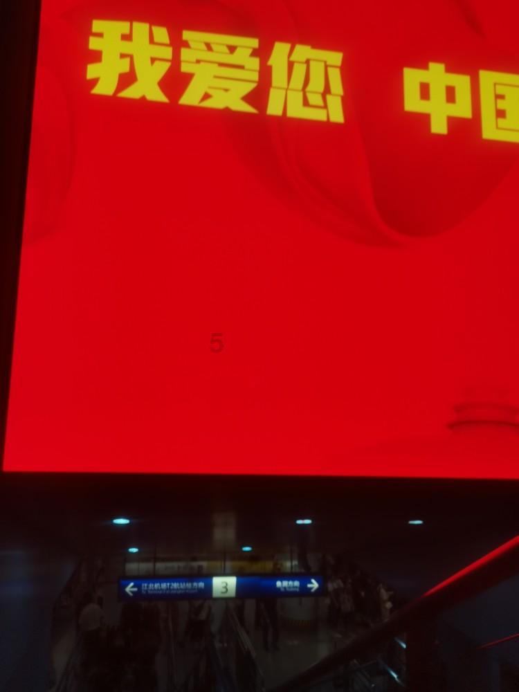 拯救小萌虎